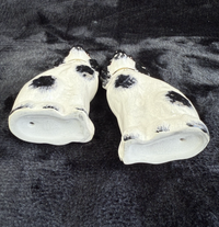 Thumbnail for Antique Staffordshire Porcelain Black White Pair King Charles Spaniel Glass eyes12