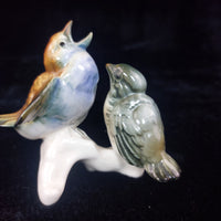Thumbnail for Karl Ens Volkstedt RareENS Porcelain Bird Figurine Pair – hand painted, german1