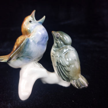 Karl Ens Volkstedt RareENS Porcelain Bird Figurine Pair – hand painted, german1