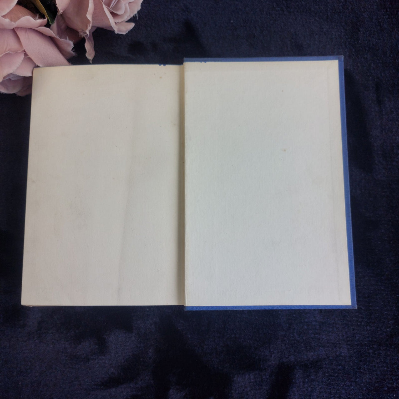 1930s Beauty Black Anna Sewell Illustrated Vintage Book Spine Blue Cloth Display7