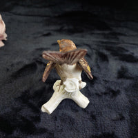 Thumbnail for Goebel Bird CY86 Figurine 5in Porcelain Songbird W.Germany Vintage 1967 Ornament6