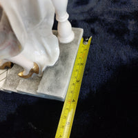 Thumbnail for Armani Style beautiful large Lady Figurine 14
