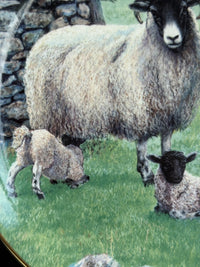 Thumbnail for Border Fine Arts The 