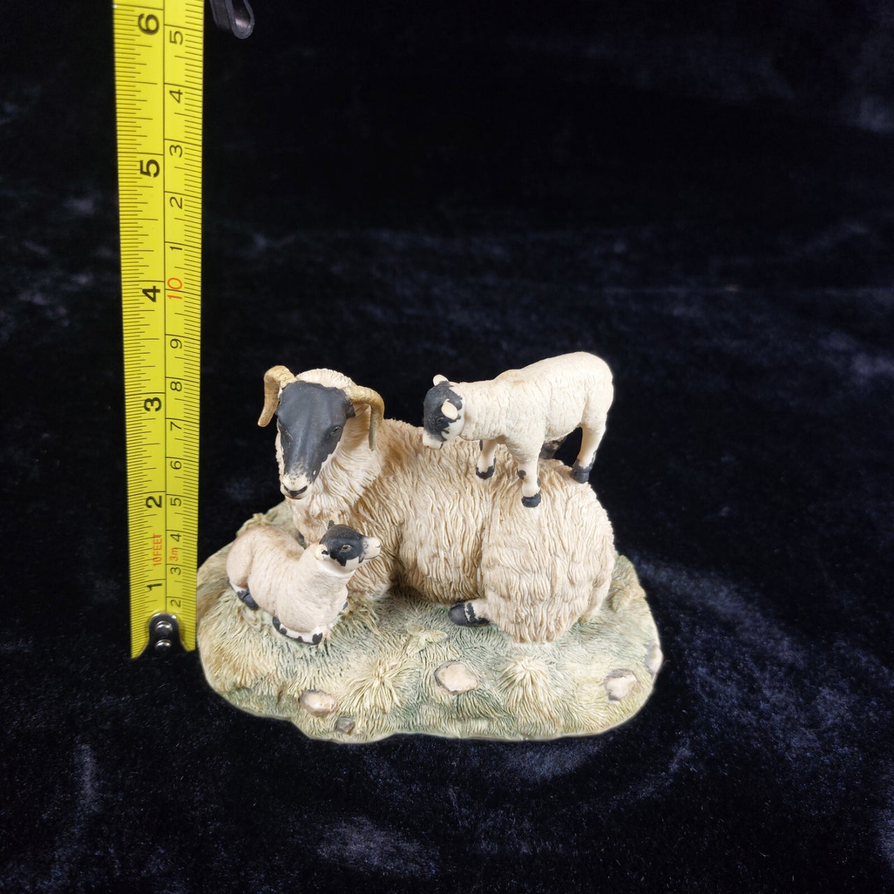 Border Fine Arts 1980s D Walton Scottish Black Face Sheep Family Highland11