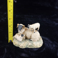 Thumbnail for Border Fine Arts 1980s D Walton Scottish Black Face Sheep Family Highland11