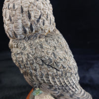 Thumbnail for Border Fine Arts 1998 Long Eared Owl Russell Willis 541729  BFA Birds Figurine8