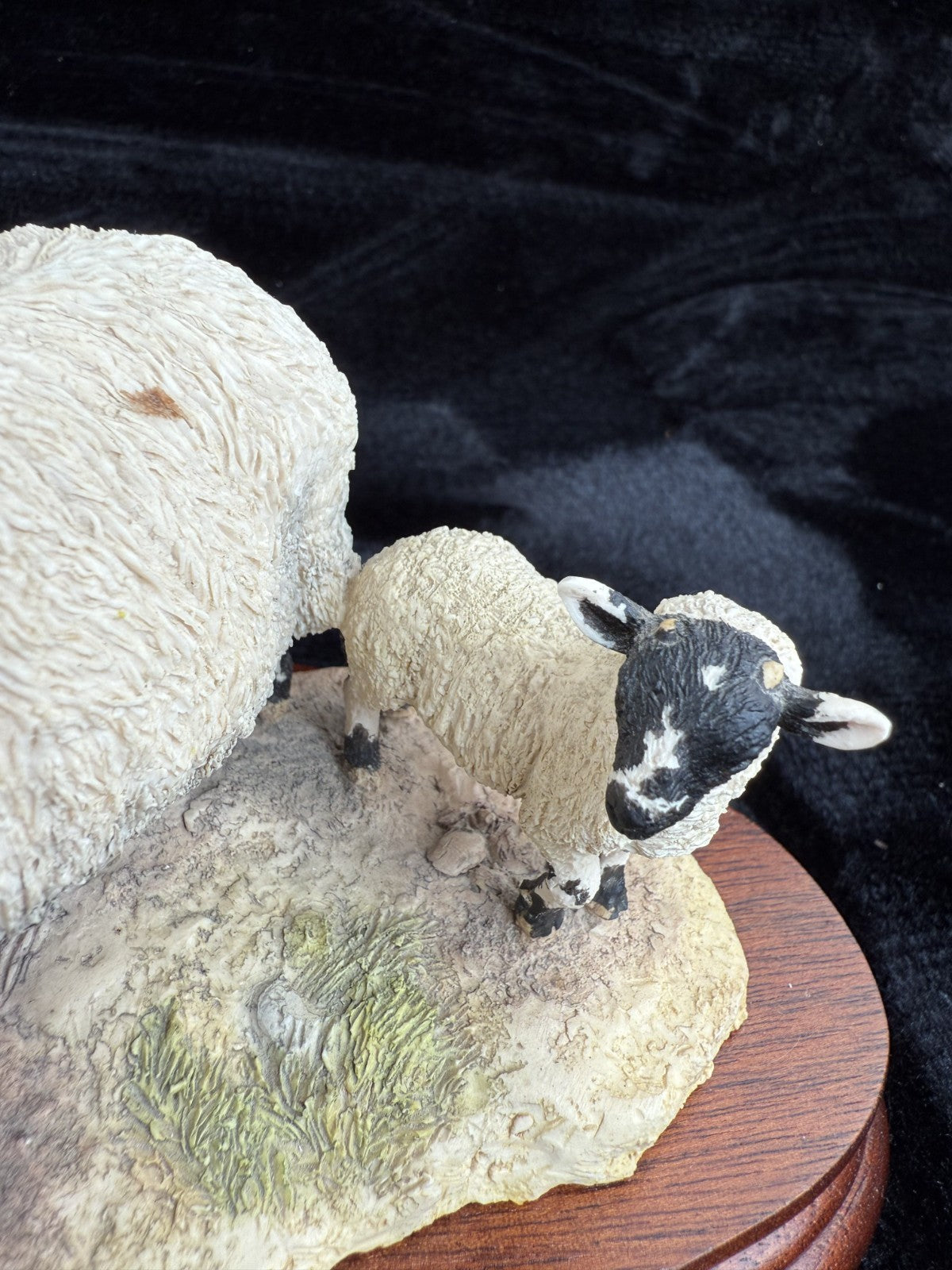 Border Fine Arts "Wrong Side of the Fence" Limited Edition sheep Figurine10