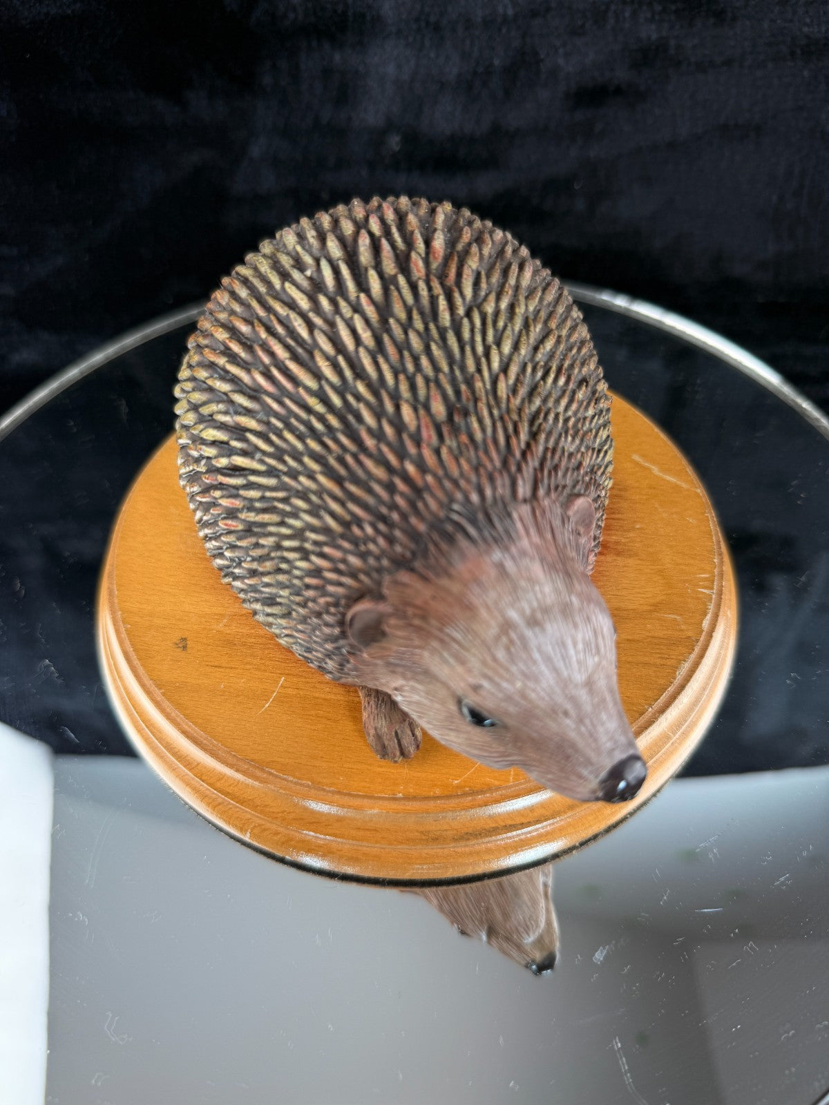 Hand‑Painted Hedgehog on Wooden Plinth – Wildlife Figure / Ornament Resin? Gift5