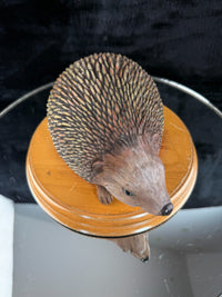 Thumbnail for Hand‑Painted Hedgehog on Wooden Plinth – Wildlife Figure / Ornament Resin? Gift5