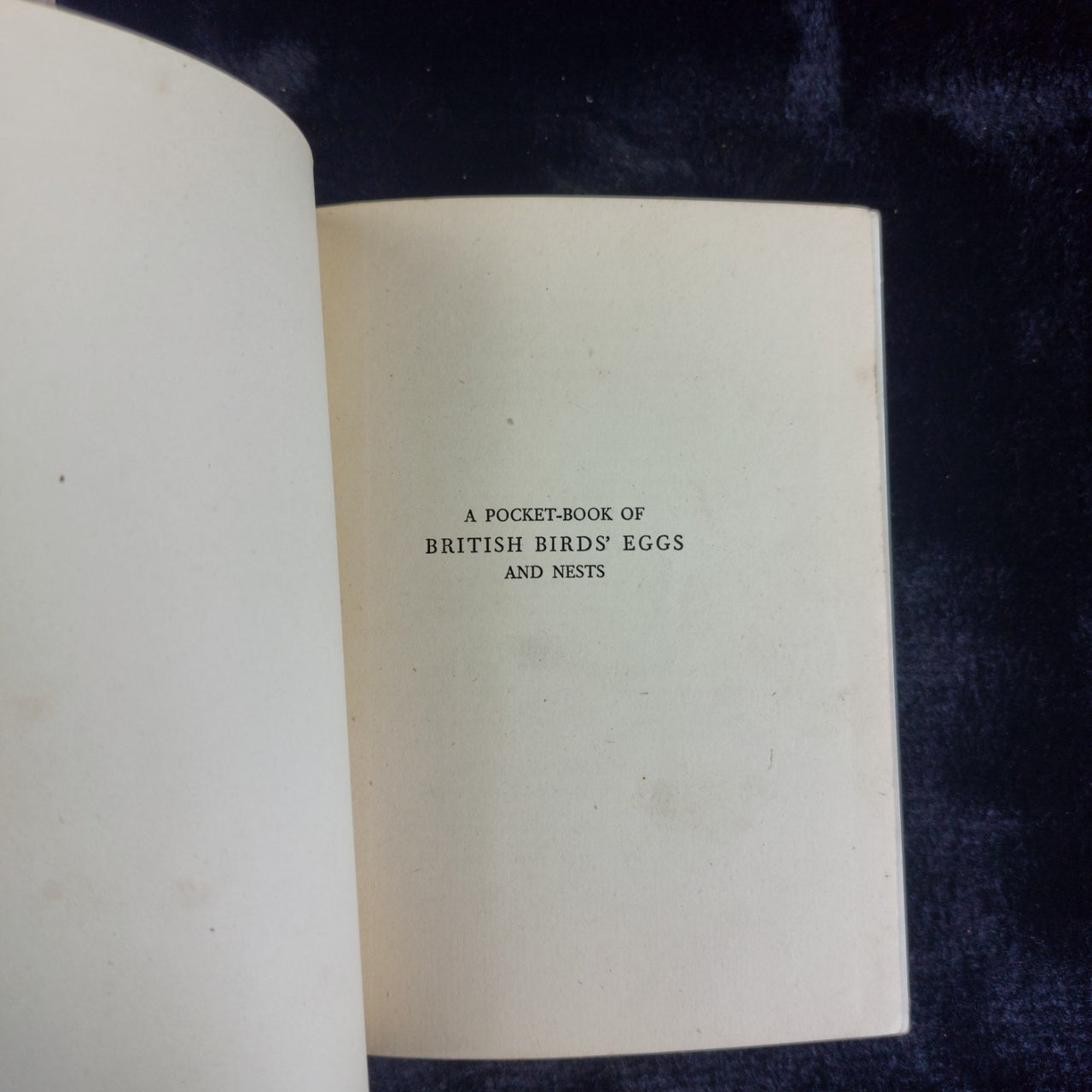 Westminster 1901 The Man From Glengarry Ralph Connor Canadian Pioneer Novel4