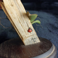 Thumbnail for Fine Border Arts Wren on Post RB9 1990 Figurine Scotland Hand Made Bird Sculptur8