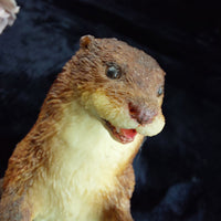 Thumbnail for Artists Country Otter Signed Victor Griffiths Figurine Wildlife Sculpture 7in de5