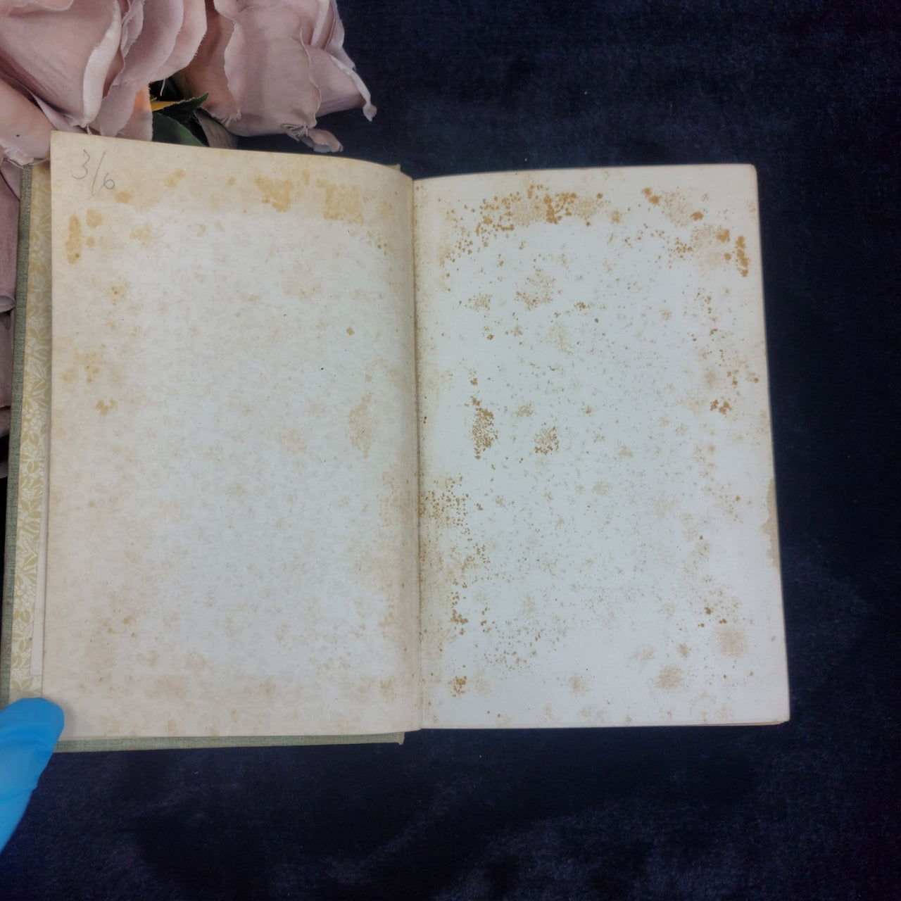 Paull Ripley Flower of the Grassmarket Book Decorated Cover 1900 Hodder antique5
