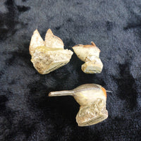 Thumbnail for M Leadbetter Cornwall Bird Figurines â Set of 3 Wrens & Robin, 1979â81 Handc11