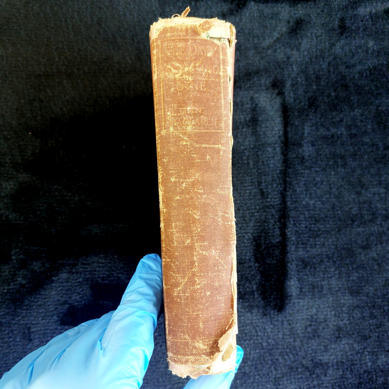 The Days of Auld Langsyne 1895 Hodder Ian Maclaren Antique Book Worn Collectable2