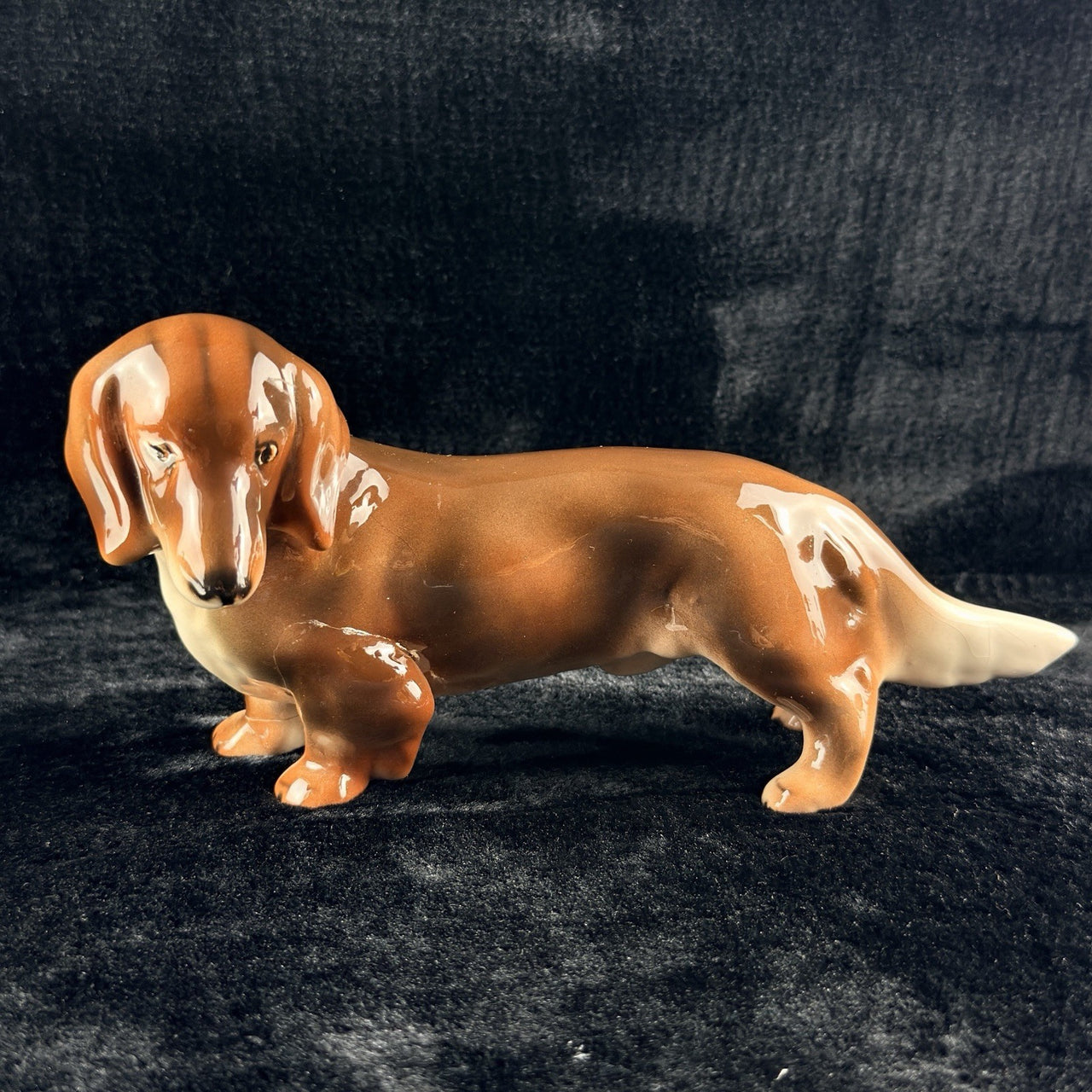 Rosenthal Dachshund Porcelain Figurine 1950s Hand Painted 8in See The Pics7
