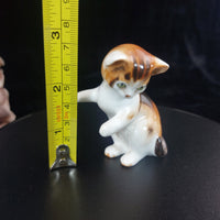 Thumbnail for Royal Doulton Kitten Figurine Good Porcelain Cat HN2582 England Vintage Rare9