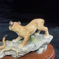Thumbnail for Border Arts Fine 1999 Lion Cubs Figurine BFA Scotland Hand Painted (Broken Ear).6