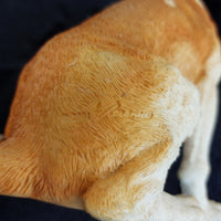 Thumbnail for Schleich Saint Bernard Dog Figurine 53383 8