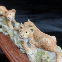 Thumbnail for Border Arts Fine 1999 Lion Cubs Figurine BFA Scotland Hand Painted (Broken Ear).11
