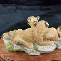 Thumbnail for Border Arts Fine 1999 Lion Cubs Figurine BFA Scotland Hand Painted (Broken Ear).5