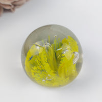 Thumbnail for Art Glass Paperweight –Vintage  White &  Yellow Flowers with Bubbles gift2